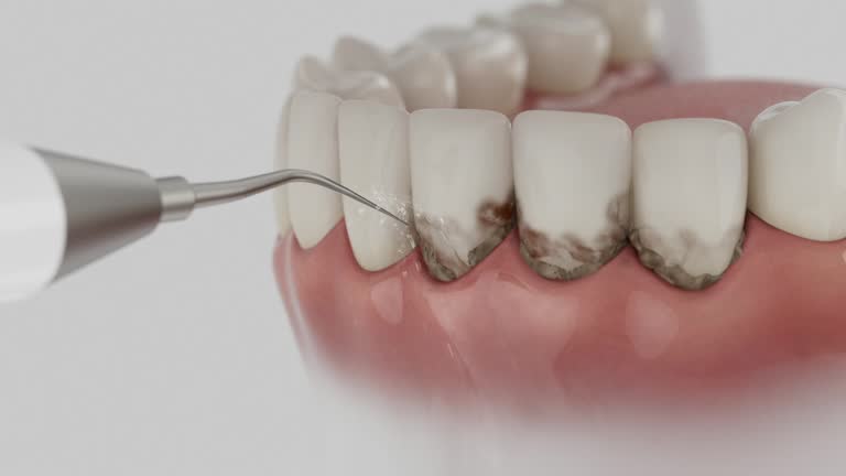 Reliable Dental contractor in Lomita, CA by Dentist Open Now